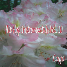 Hip Hop Instrumentals Vol. 10