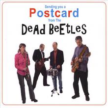 Sending You a Postcard From the Dead Beetles