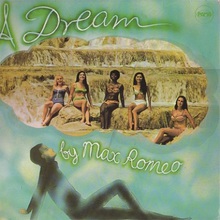 A Dream (Vinyl)