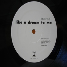 Like A Dream To Me (IR335) Vinyl