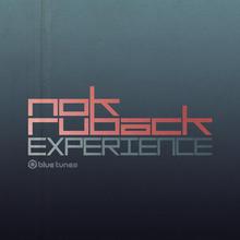 Experience (With Ruback) (CDS)