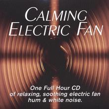 Calming Electric Fan