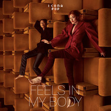 Feels In My Body (CDS)