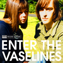 Enter The Vaselines CD1