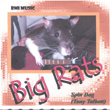 Big Rats / 2 Don'ts