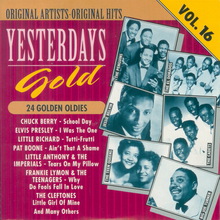 Yesterdays Gold - Vol. 16 - 24 Golden Oldies