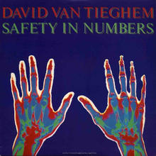 Safety In Numbers (Vinyl)