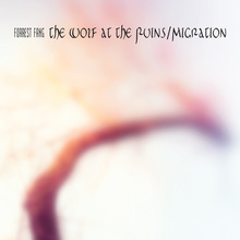 The Wolf At The Ruins / Migration CD1