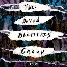 The David Blamires Group