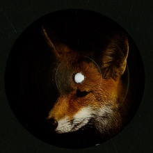 Foxology (EP)