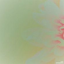 Origin