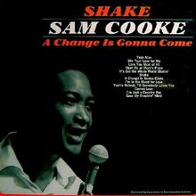 Shake (Vinyl)