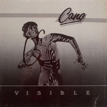 Visible (Vinyl)