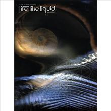 Life Like Liquid Soundtrack