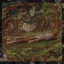 Il' Flaen (The Tree) (EP)