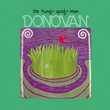 The Hurdy Gurdy Man (Vinyl)
