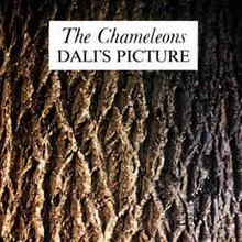 Dali's Picture (Vinyl)