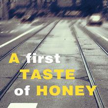 A First Taste of Honey - Jazz Vocal & Piano Duo, Broadway Musicals
