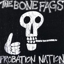 Probation Nation