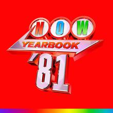 Now Yearbook '81 CD4