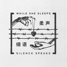 Silence Speaks (CDS)