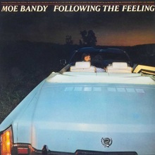 Following The Feeling (Vinyl)