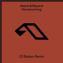 Homecoming (Ltj Bukem Remix) (CDS)
