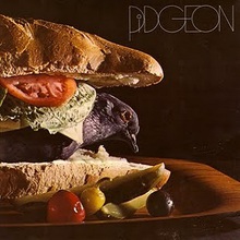 Pidgeon (Vinyl)