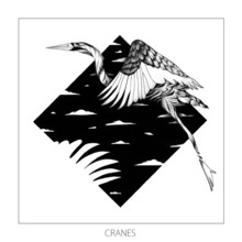 Cranes (CDS)