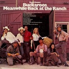 Meanwhile Back At The Ranch (Vinyl)