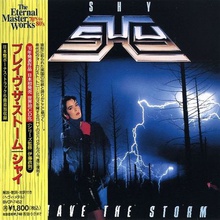 Brave The Storm (Japanese Edition)
