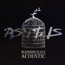 Blenheim Place Acoustic