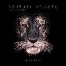 Wild Eyes (CDS)