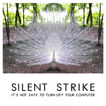 It's Not Safe To Turn Off Your Computer