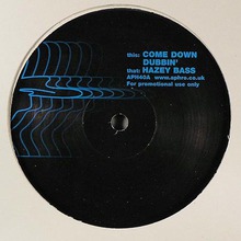 Come Down Dubbin' / Hazey Bass (VLS)