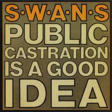 Public Castration Is A Good Idea