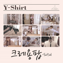 Y-Shirt (CDS)