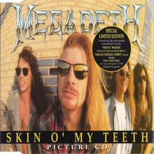 Skin O' My Teeth (CDS)