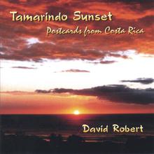 Tamarindo Sunset (Postcards From Costa Rica)
