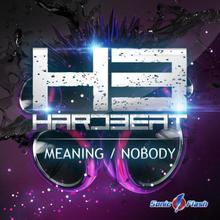Meaning / Nobody (EP)