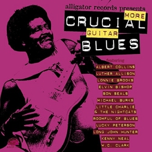 Crucial Blues: Crucial More Guitar Blues