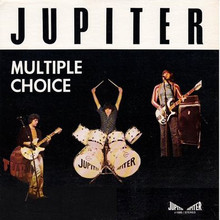Multiple Choice (Vinyl)