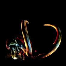 Mammut (Reissued 1996)