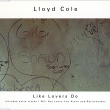 Like Lovers Do (CDS)