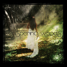 Fairy Woods | Reimagined