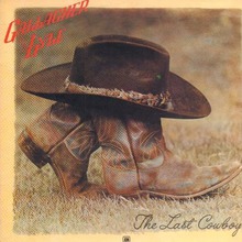 The Last Cowboy (Vinyl)