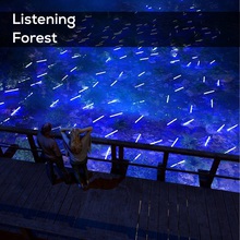 Listening Forest