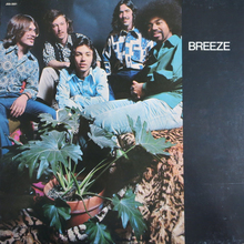 Breeze (Vinyl)