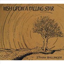 Wish Upon A Falling Star