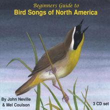 Beginners Guide to Bird Songs of North America